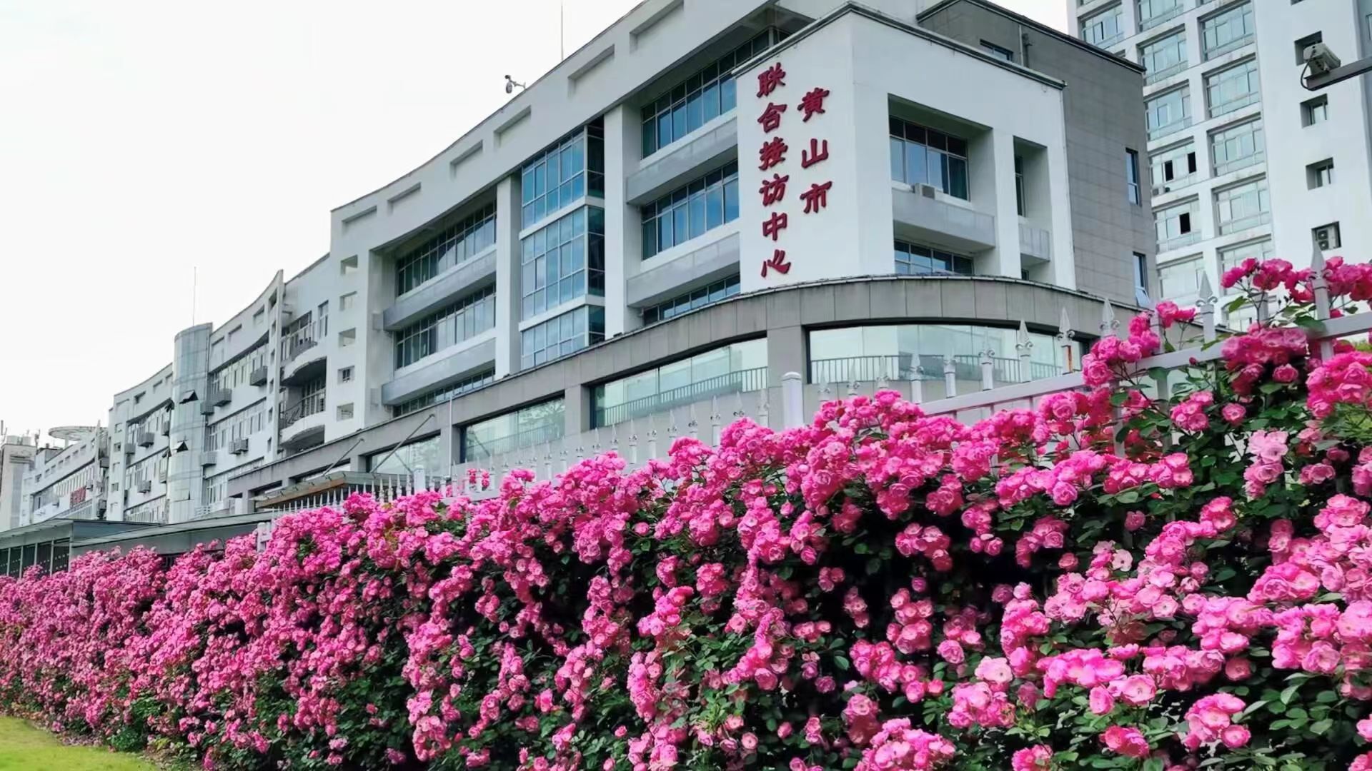 黄山市信访局：家访式谈话筑牢年轻干部成长